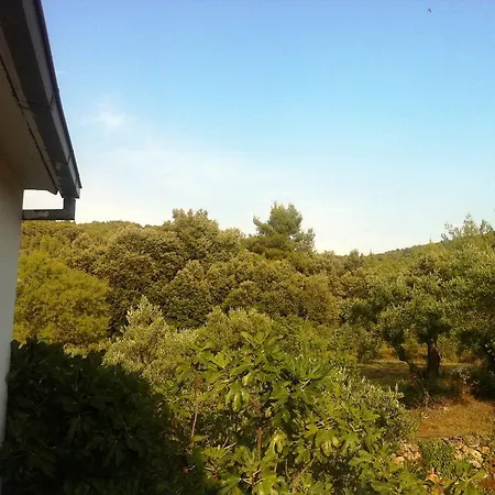 Lavender Dol (Hvar)